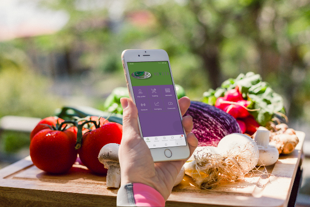 VoVita App